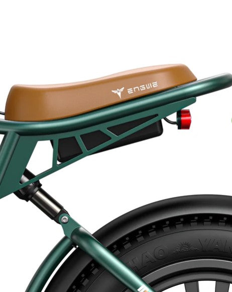 E-BIKE ELETTRICA ENGWE M20 250W – FAT BIKE – DOPPIA BATTERIA 48V 20AH – AUTONOMIA FINO A 150 KM