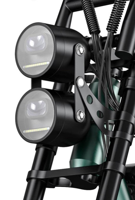 E-BIKE ELETTRICA ENGWE M20 250W – FAT BIKE – DOPPIA BATTERIA 48V 20AH – AUTONOMIA FINO A 150 KM