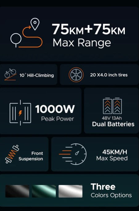 E-BIKE ELETTRICA ENGWE M20 250W – FAT BIKE – DOPPIA BATTERIA 48V 20AH – AUTONOMIA FINO A 150 KM