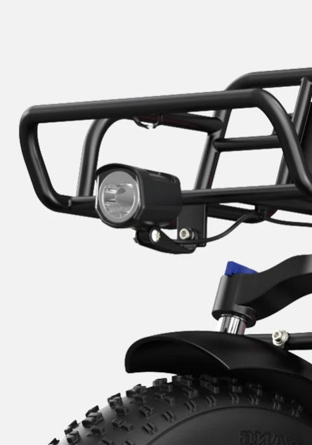 E-BIKE ELETTRICA ENGWE L20 250W – FAT BIKE 20×4.0" – AUTONOMIA FINO A 140 KM